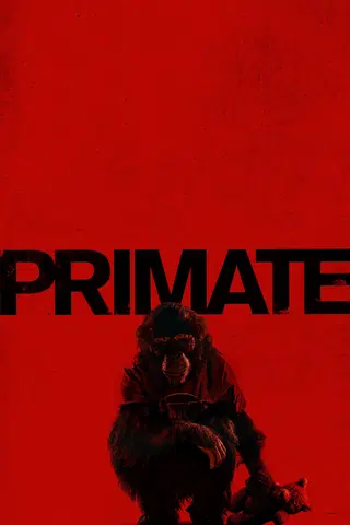 Primate