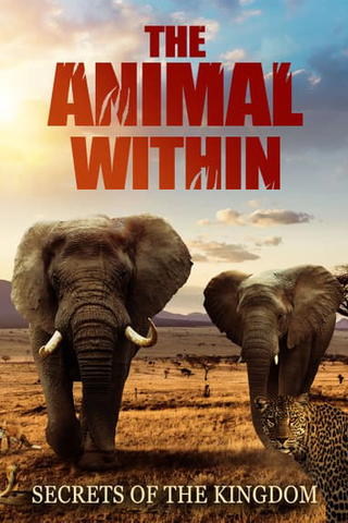 Tierische Superhelden