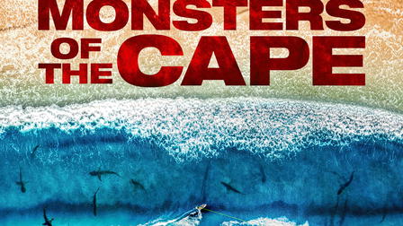 Hai-Schutz vor Cape Cod