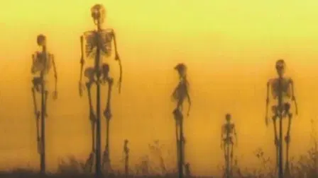 Visions of Suffering