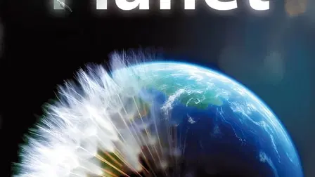 How to Grow a Planet