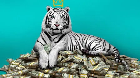 Tigre Blanco
