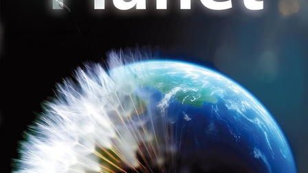 How to Grow a Planet