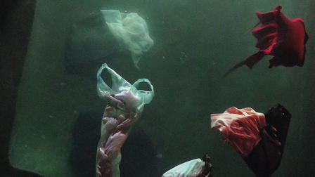 While You Weren't Looking