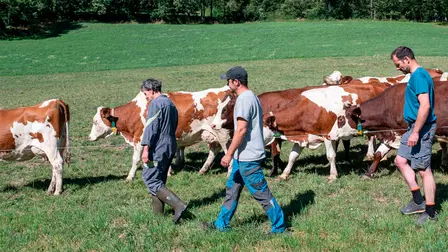 La ferme des Bertrand