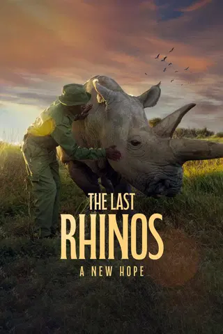 The Last Rhinos: A New Hope