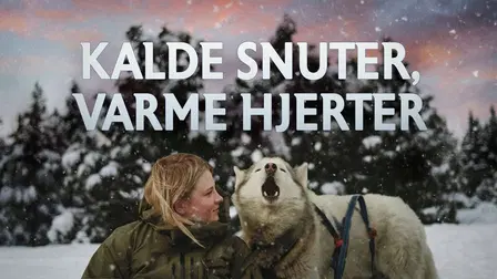 Kalde snuter, varme hjerter