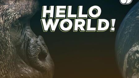 Hello World!