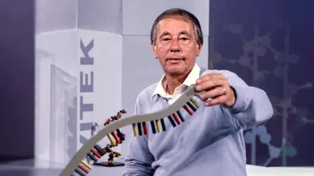 Vitek