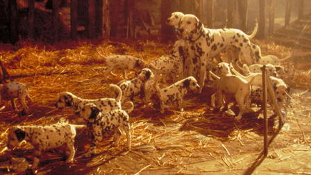 101 Dalmatialaista