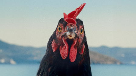 La gallina