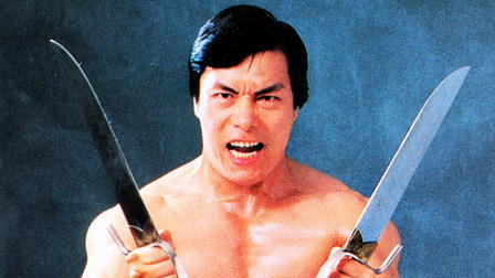 Amazing Masters of Martial Arts