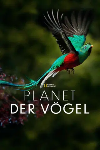 Planet der Vögel
