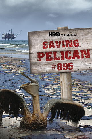 Saving Pelican 895
