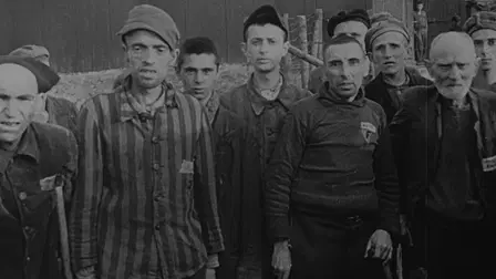 Evils of the Nazi Doctors