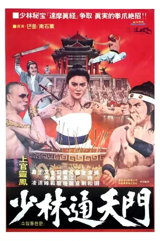 Shaolin Tamo Systique