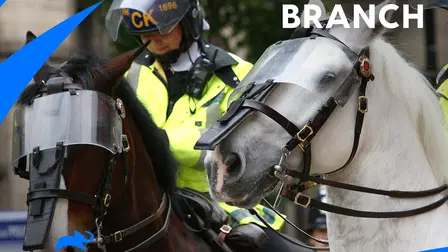 Mounted Branch