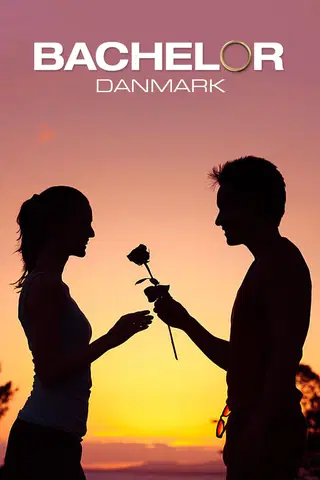 Bachelor Danmark