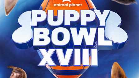 Puppy Bowl