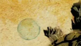 Pelo Pico Pata: Mascoteros