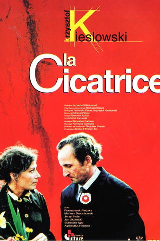 La Cicatrice