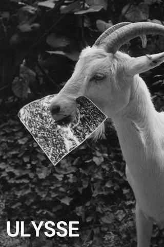 Ulisses