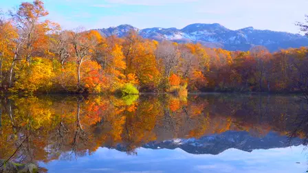 There is something about the scenery of Japan.For ambient CTV.