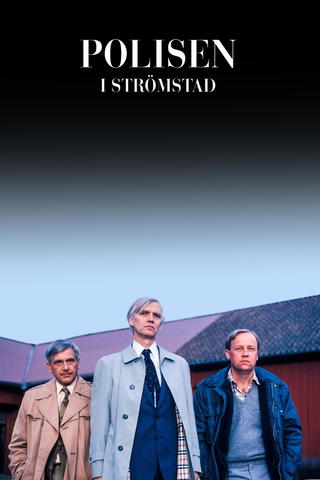 Polisen och domarmordet
