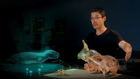 Mammal Origins