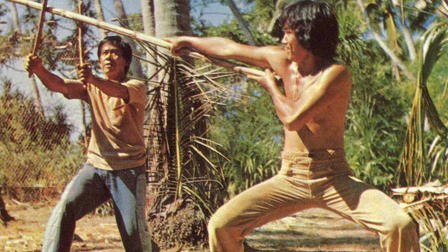 The Dragon, the Lizard and the Boxer