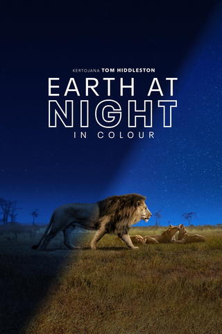 Earth at Night in Colour