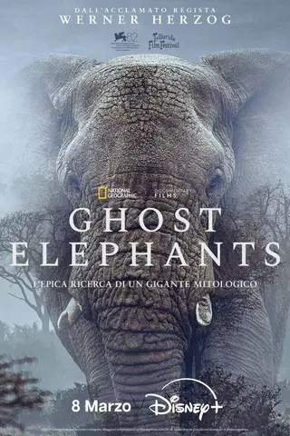 Ghost Elephants