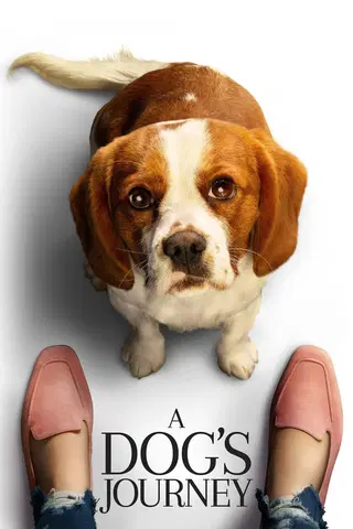 A Dog's Journey