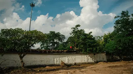 Ten Years Thailand
