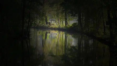 Spreewaldkrimi