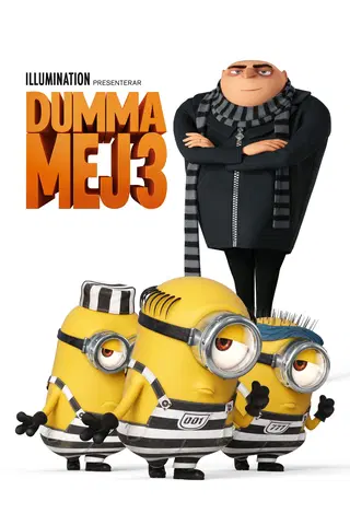 Dumma mej 3