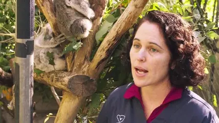 Nature's Hidden Miracles