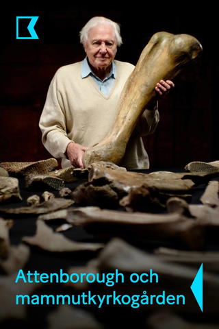 Attenborough och mammutkyrkogården
