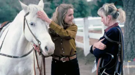Lightning, the White Stallion