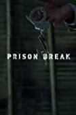 Prison Break: Proof of Innocence