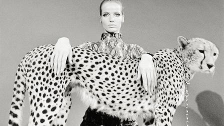 Veruschka: A Life for the Camera