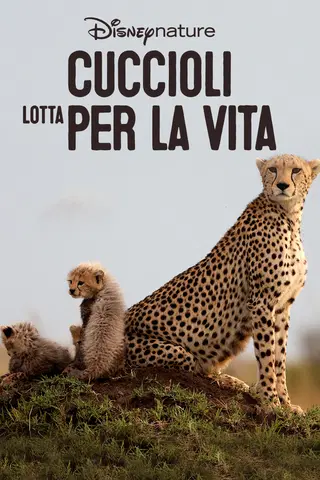 Cuccioli - Lotta per la vita