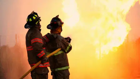 Climate Crisis: Wildfires