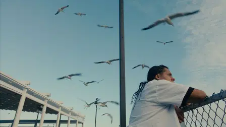 Mad Bills to Pay (or Destiny, dile que no soy malo)