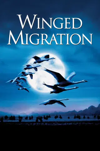 Fugle på rejse (Winged Migration)