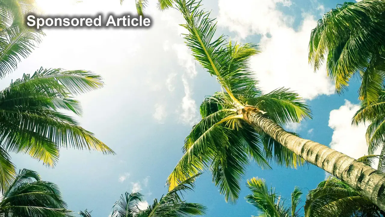 The rise of vacation-core streaming: why viewers are choosing destinations before plots