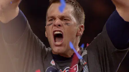 NFL Super Bowl LI Champions New England Patriots