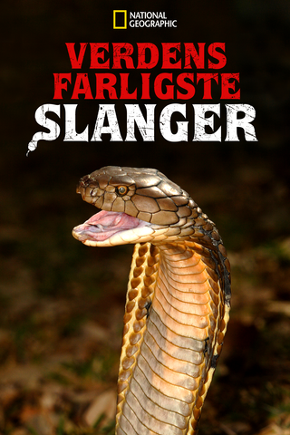 Verdens farligste slanger