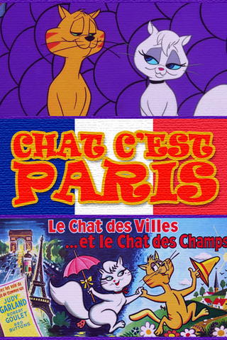 Chat, c'est Paris