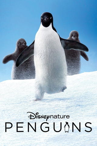 Disneynature Pingviner
